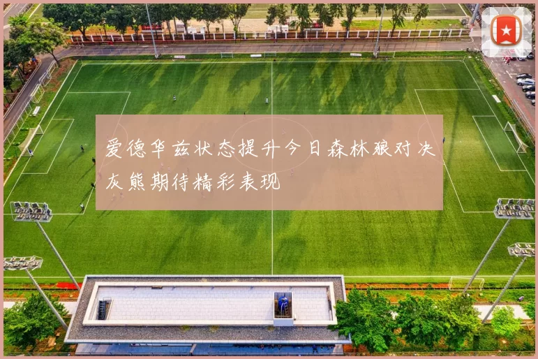 爱德华兹状态提升今日森林狼对决灰熊期待精彩表现