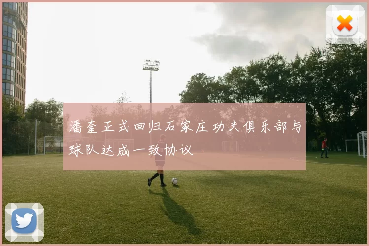 潘奎正式回归石家庄功夫俱乐部与球队达成一致协议